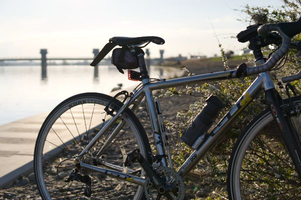 “多摩川　自転車　ロードバイク”