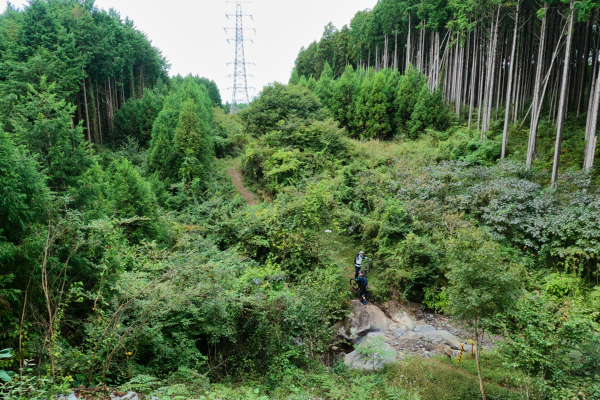 MTB マウンテンバイク