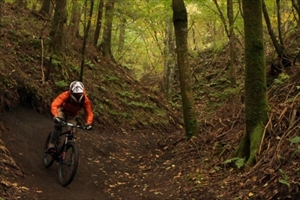 マウンテンバイク